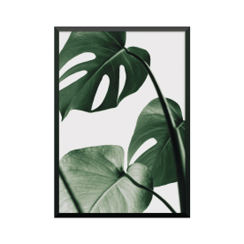 Plakat: 'Monstera' I
 Mål-50 x 70 cm Format-Stående