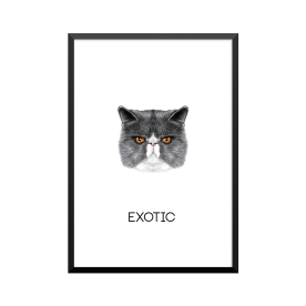 Plakat: Exotic