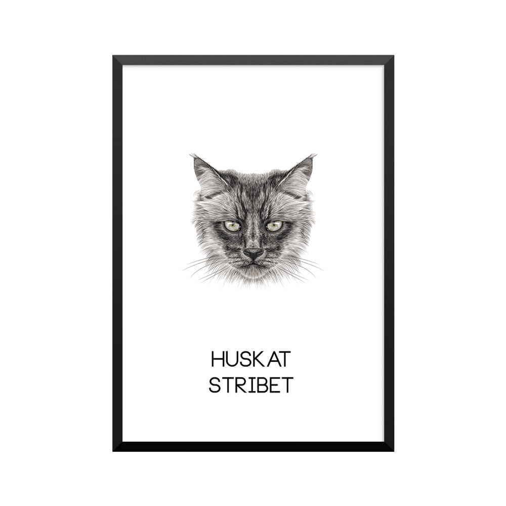 Plakat: Huskat, stribet