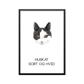 Plakat: Huskat, sort og hvid