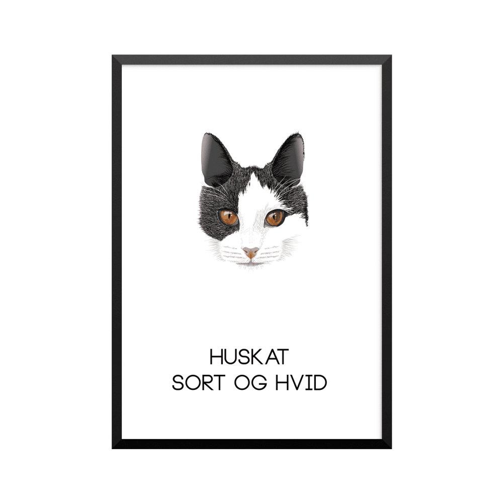 Plakat: Huskat, sort og hvid