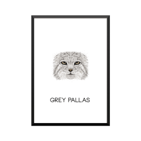 Plakat: Grey Pallas