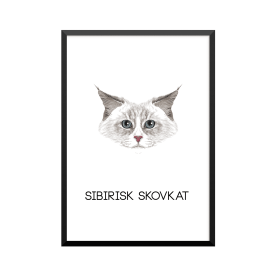 Plakat: Sibirisk Skovkat