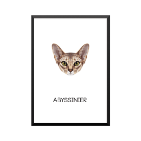 Plakat: Abyssinier