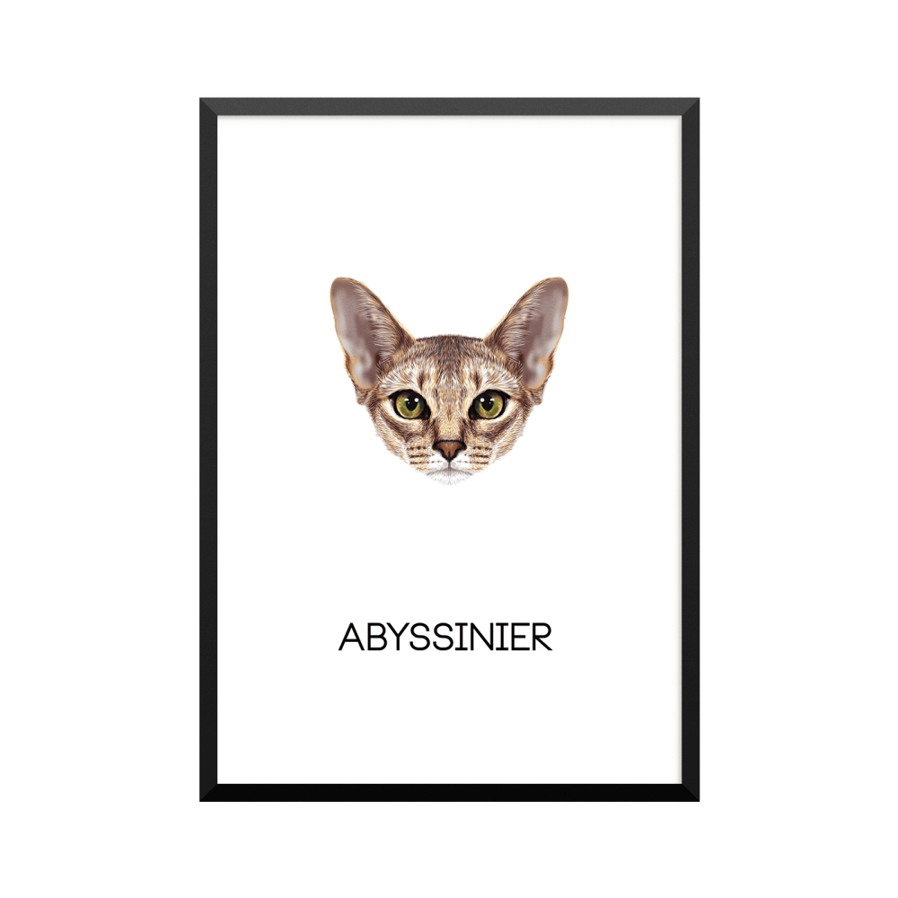 Plakat: Abyssinier