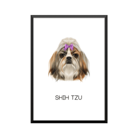 Plakat: Shih Tzu