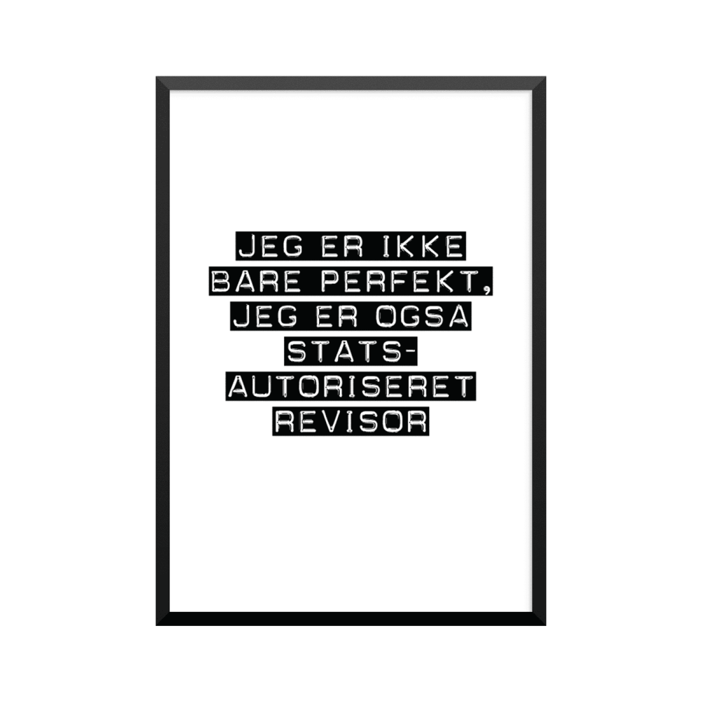 Plakat: Statsautoriseret revisor