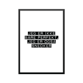 Plakat: Snedker