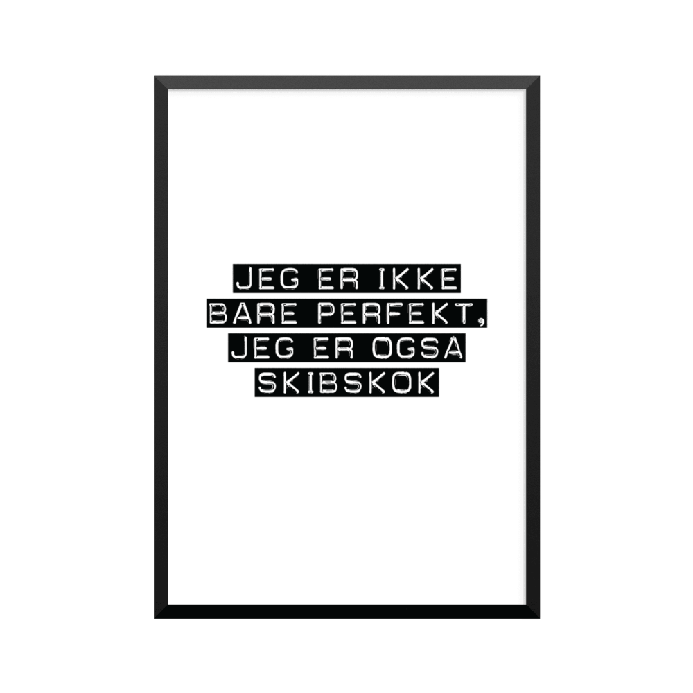 Plakat: Skibskok