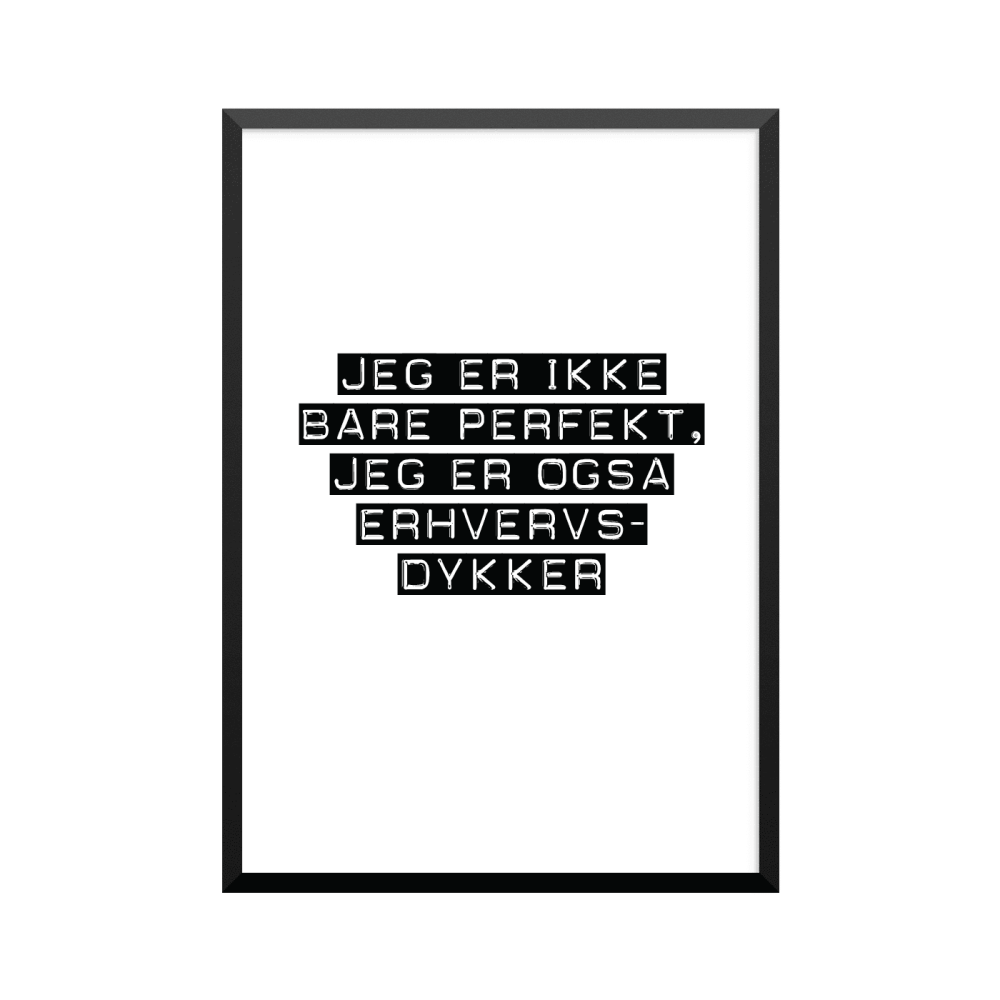Plakat: Erhvervsdykker