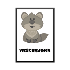Plakat: Vaskebjørn