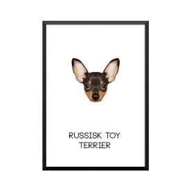 Plakat: Russisk Toy Terrier