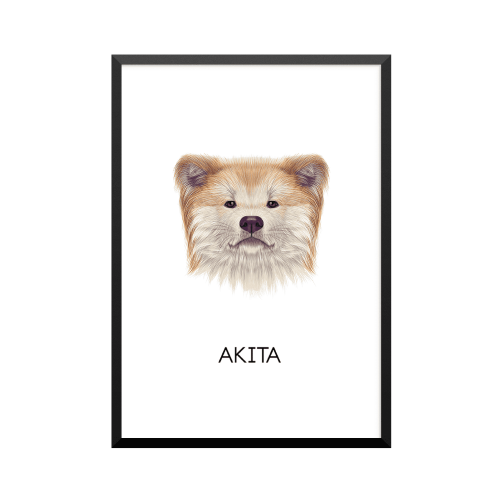 Plakat: Akita