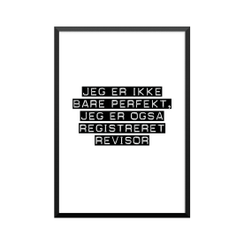Plakat: Registreret revisor