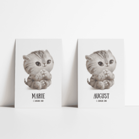Plakat: Baby kat, fødselstavle, begivenhedstavle