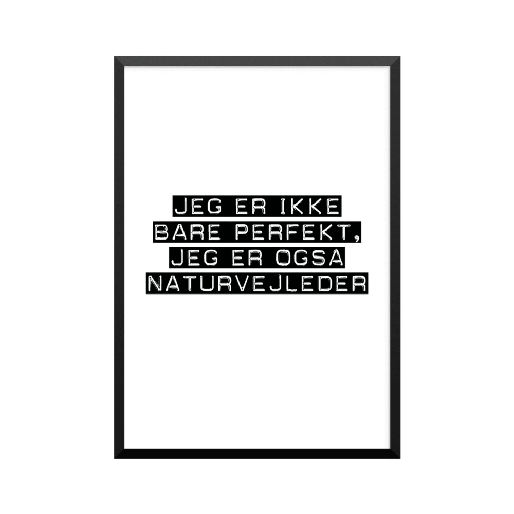 Plakat: Naturvejleder