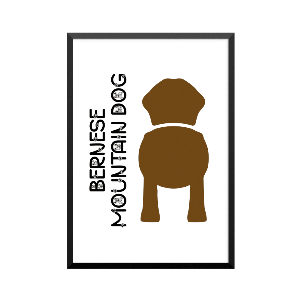 Plakat: Bernese Mountain Dog, Dog Butt