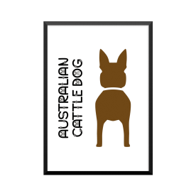 Plakat: Australian Cattle...