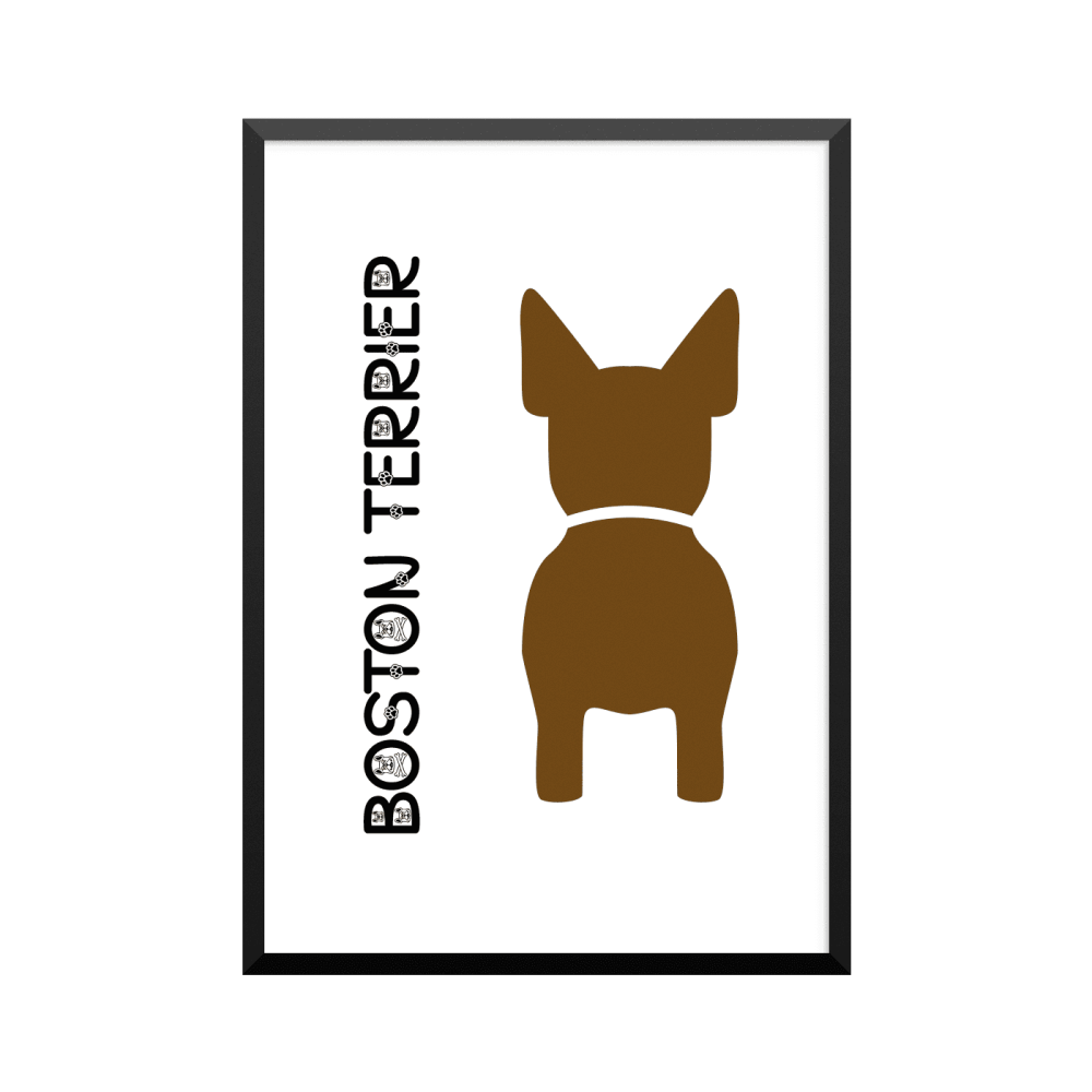 Plakat: Boston Terrier, Dog Butt