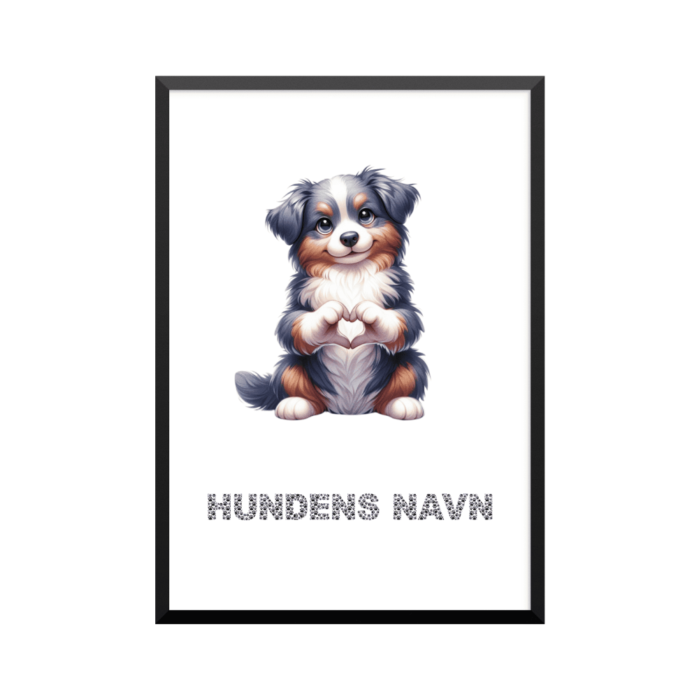 Plakat: Australian Shepherd, hjerte