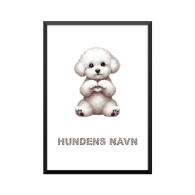 Plakat: Bichon frisé, hjerte