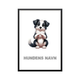 Plakat: Border Collie, hjerte