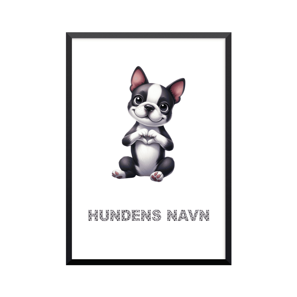 Plakat: Boston Terrier, hjerte