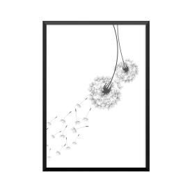 Plakat: DANDELION