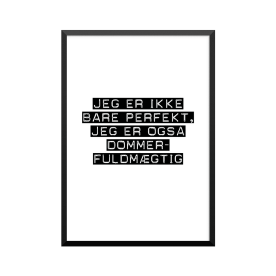 Plakat: Dommerfuldmægtig