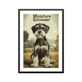 Plakat: Miniature Schnauzer...