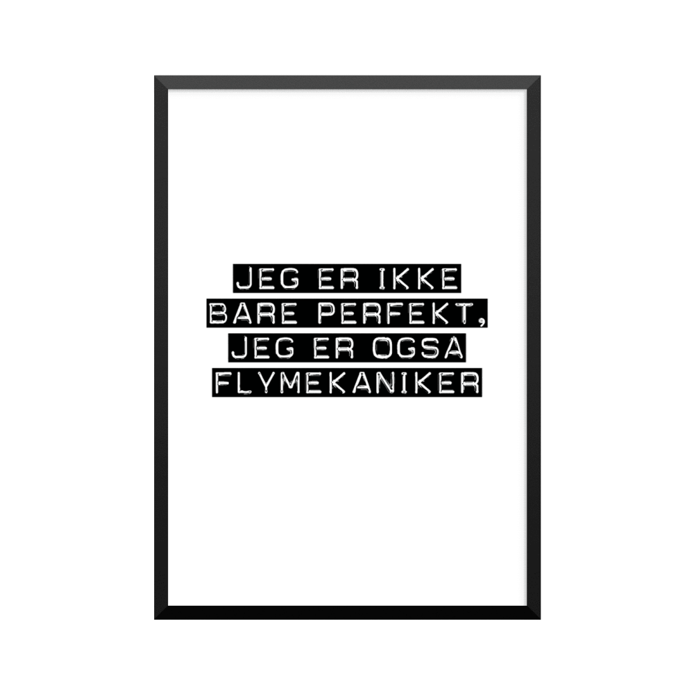 Plakat: Flymekaniker
