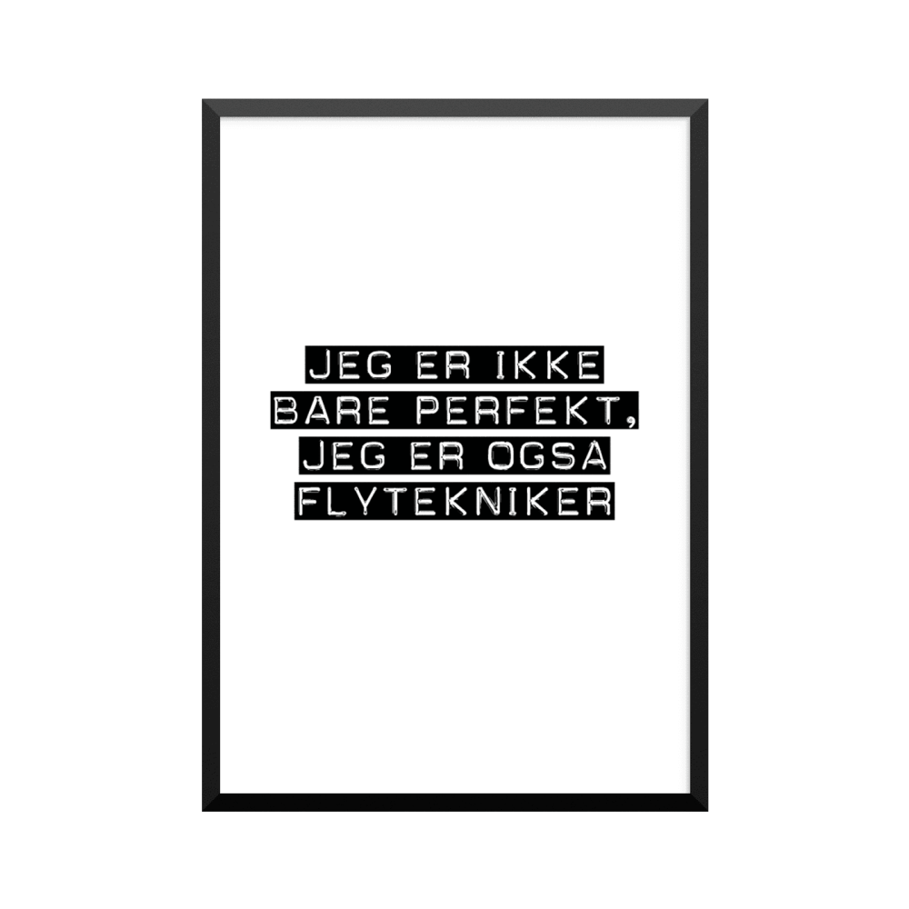 Plakat: Flytekniker