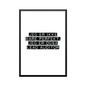 Plakat: Lead Auditor