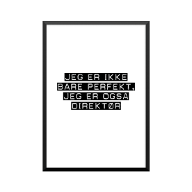Plakat: Direktør