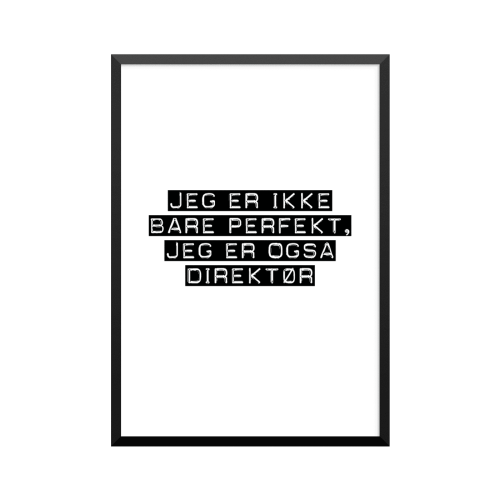 Plakat: Direktør