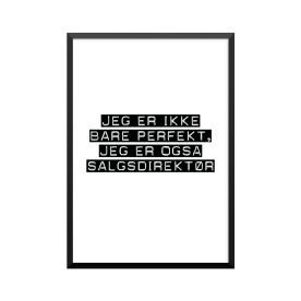 Plakat: Salgsdirektør
