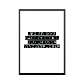 Plakat: Vinduespudser