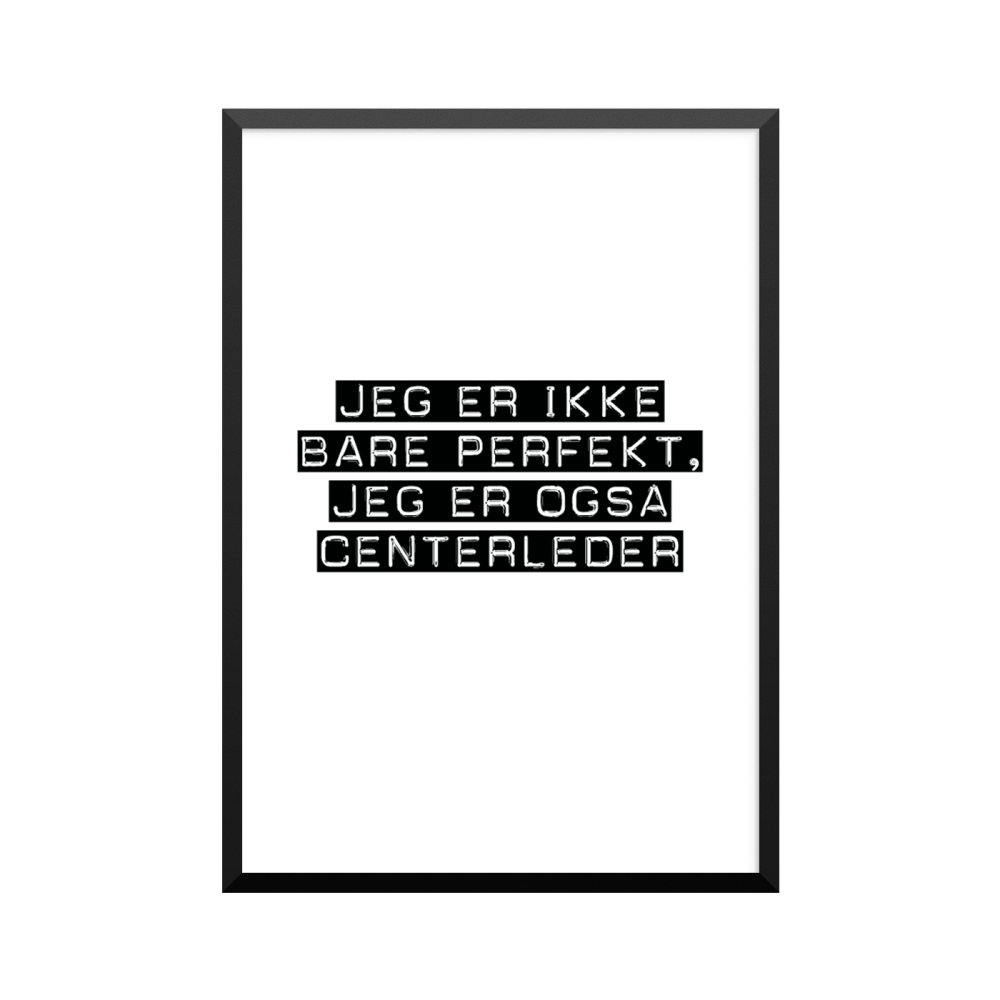 Plakat: Centerleder