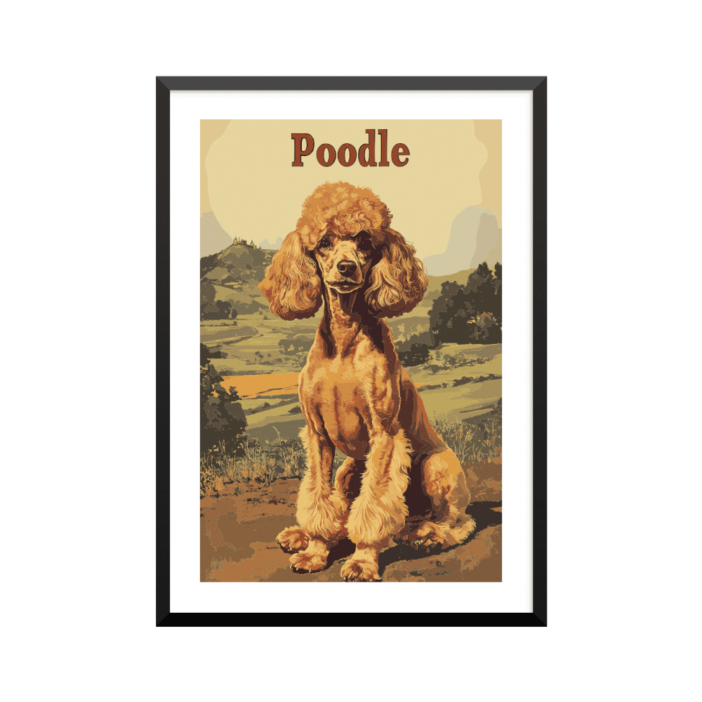 Plakat: Poodle (Puddel), vintage