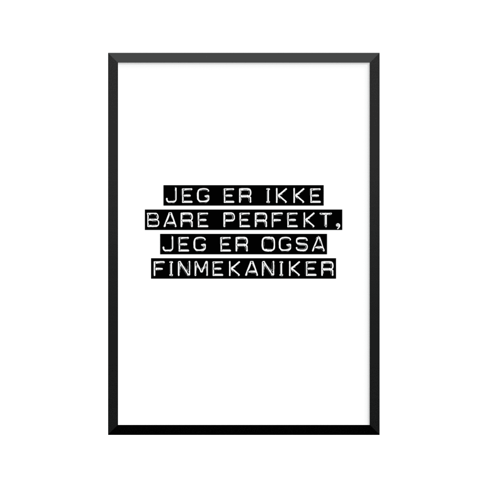 Plakat: Finmekaniker