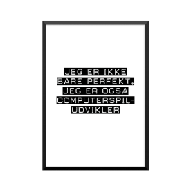 Plakat: Computerspiludvikler