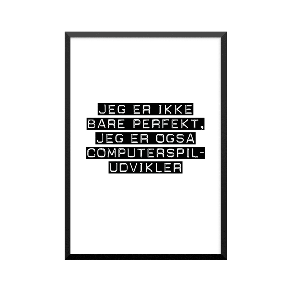 Plakat: Computerspiludvikler